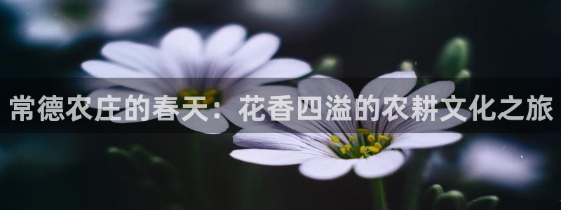 白宫摩根娱乐会所