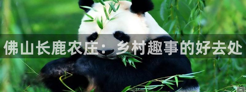 首页摩根娱乐平台