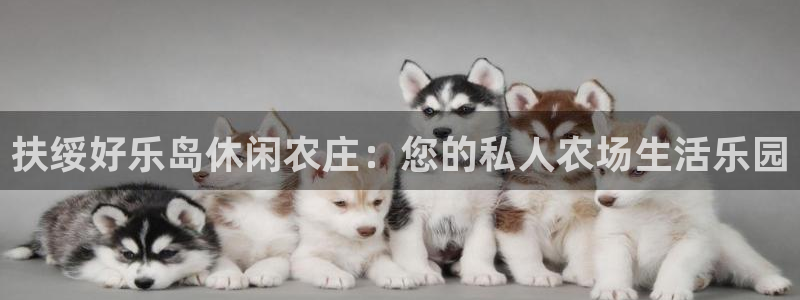 泉州摩根会娱乐张桂花