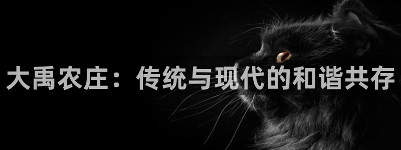 摩根娱乐官网