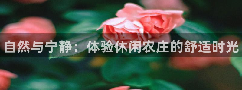 微信里面摩根娱乐宝