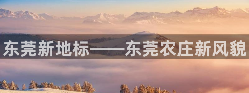 白宫摩根娱乐场所