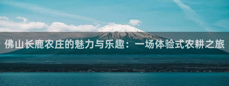 亚瑟摩根娱乐的地方