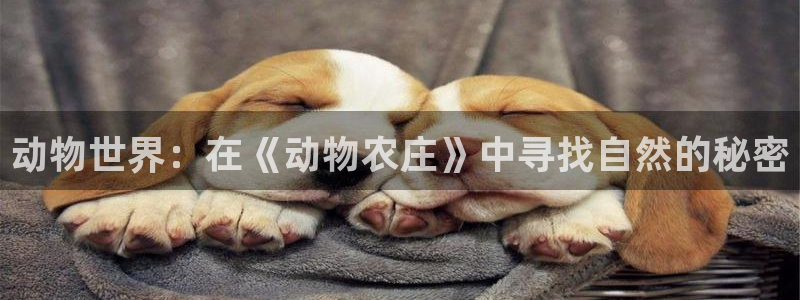 摩根娱乐宝是骗局