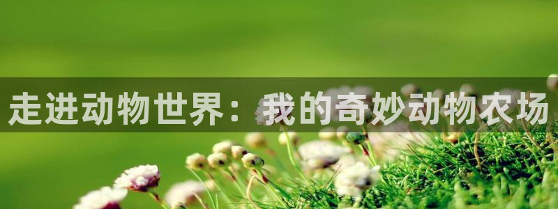 摩根娱乐宝骗局