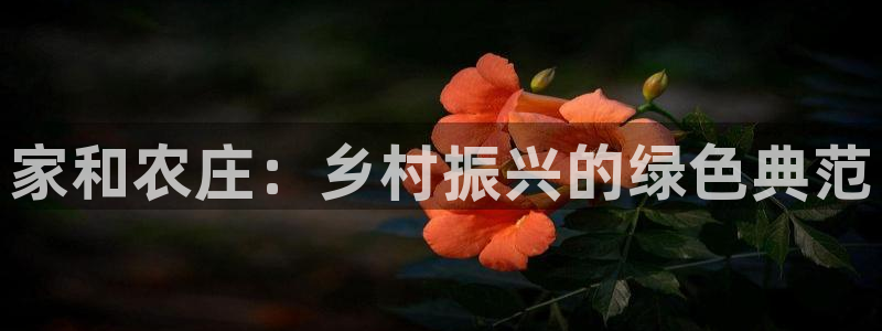 义乌摩根娱乐会所老板