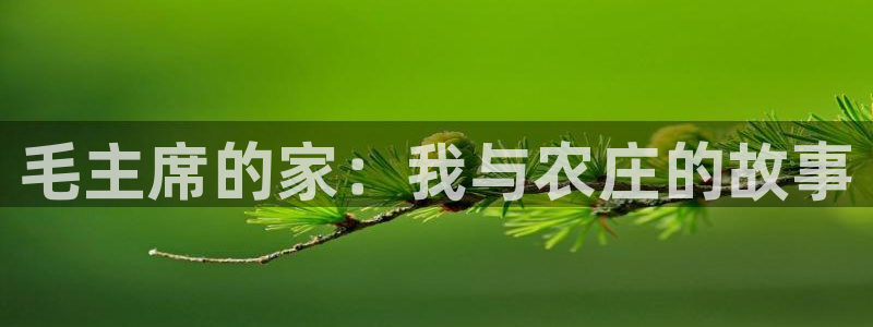 摩根娱乐官网