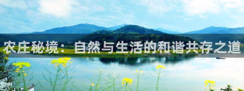 摩根娱乐宝是什么游戏
