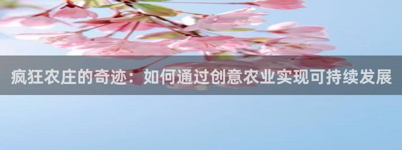摩根国际娱乐宝进不去