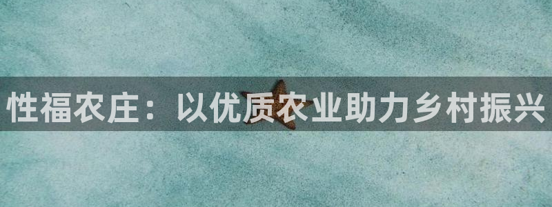 摩根国际娱乐宝