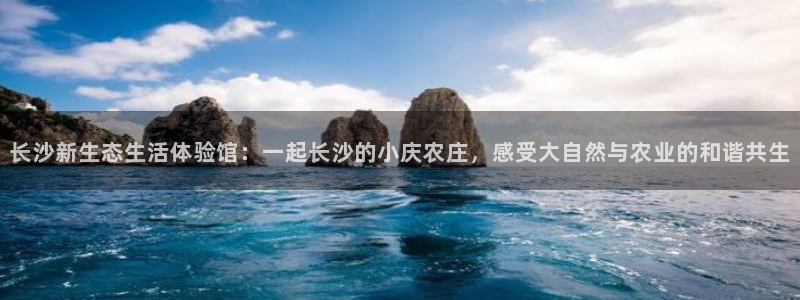 摩根娱乐宝可靠不