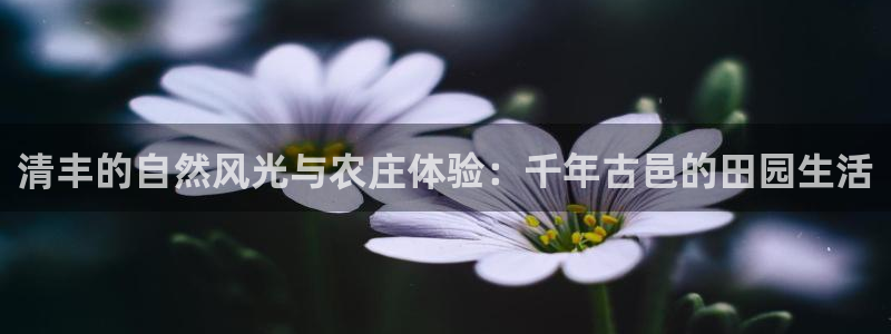 摩根娱乐云挂机项目