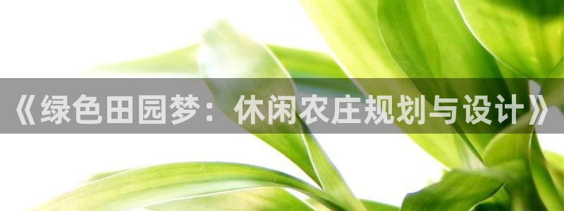 福建泉州白宫摩根会娱乐