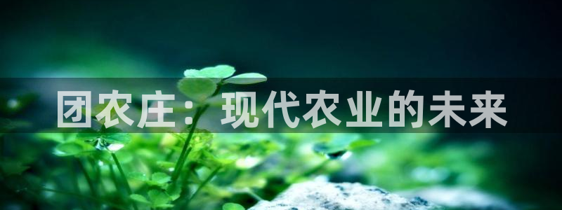 摩根娱乐这个平台怎么样