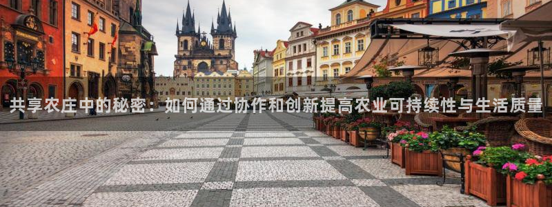 摩根娱乐挂机项目是什么