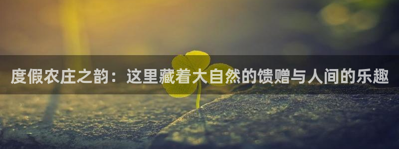 摩根娱乐宝是什么意思