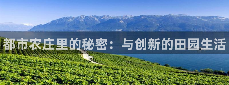 摩根娱乐宝怎样拉下线