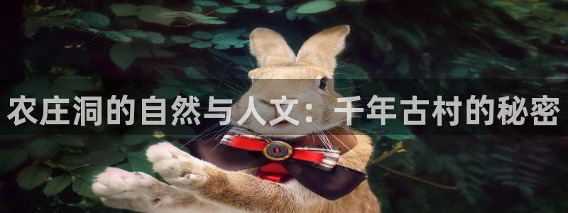 摩根娱乐云挂机项目怎么下载