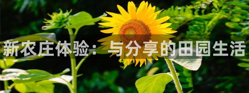 泉州摩根会娱乐