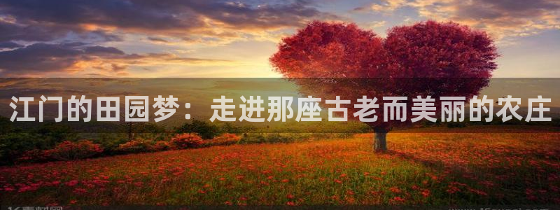 摩根娱乐宝招商