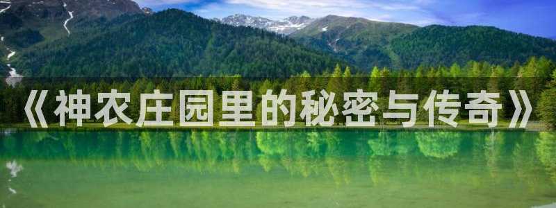 摩根国际娱乐宝书籍