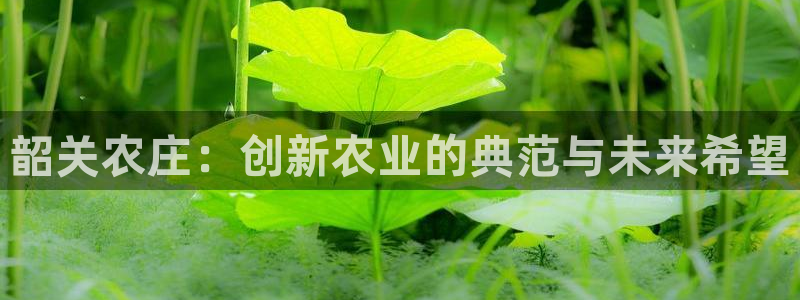 亚瑟摩根娱乐的地方