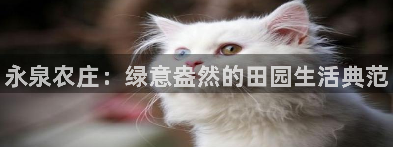 摩根娱乐50186叩杨