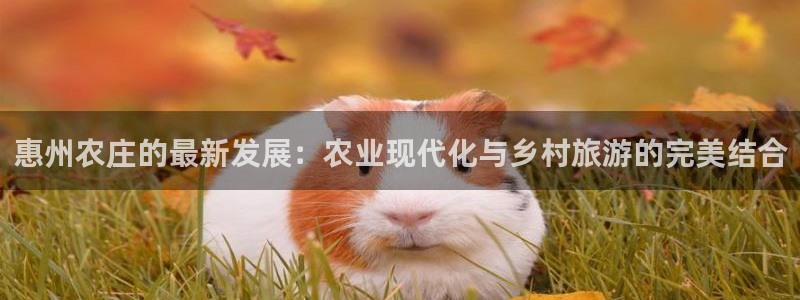 摩根娱乐1老H板50820