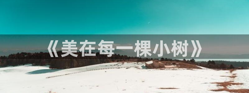 摩根娱乐和摩根国际