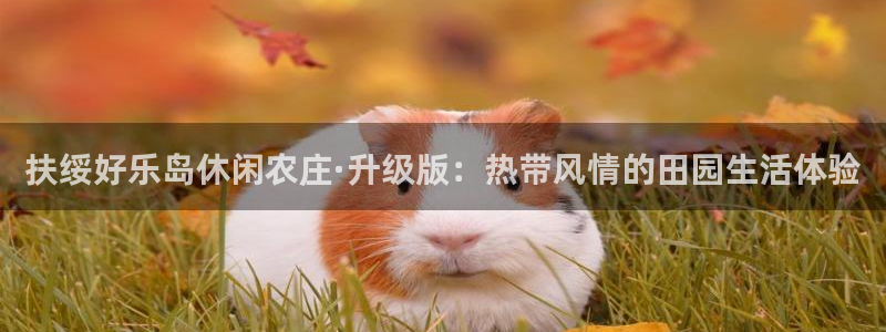 济宁摩根国际娱乐