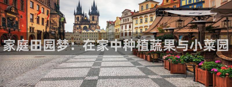 摩根娱乐云挂机项目怎么下载