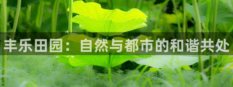 摩根100娱乐会所