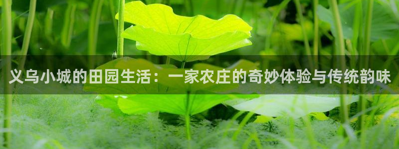 摩根太古互动娱乐中心