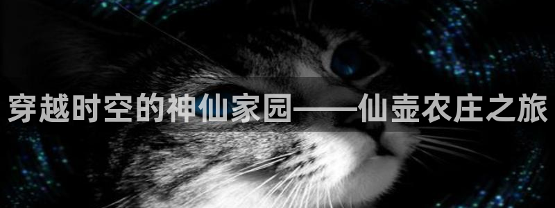 摩根娱乐宝总部