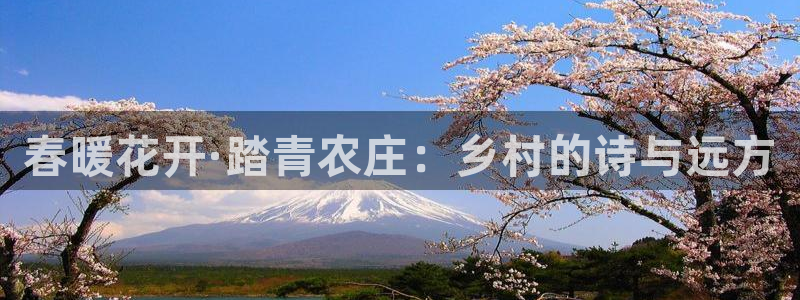 摩根娱乐帐7O777
