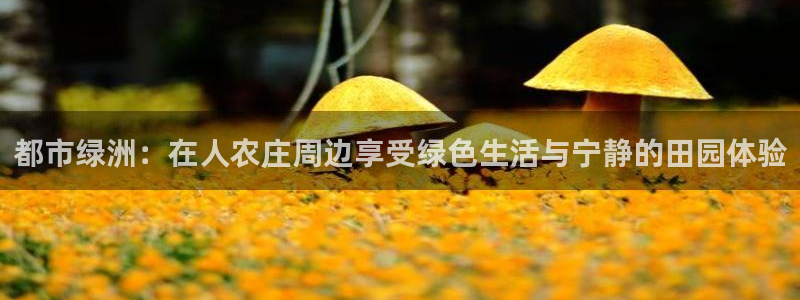 摩根娱乐宝怎么盈利