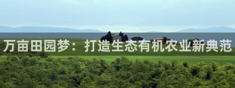 摩根娱乐宝收益怎么样