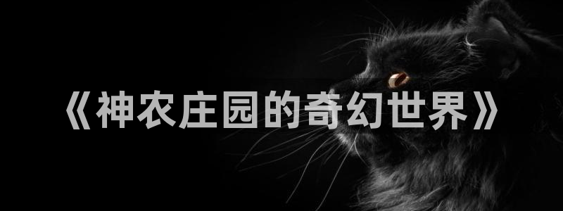 摩根士丹利娱乐银行