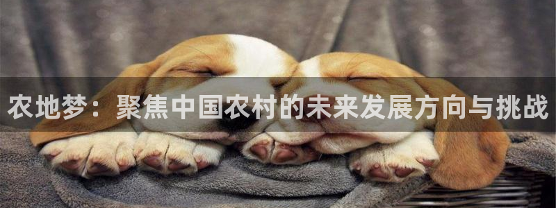 摩根360休闲娱乐