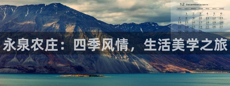 摩根娱乐和摩根国际