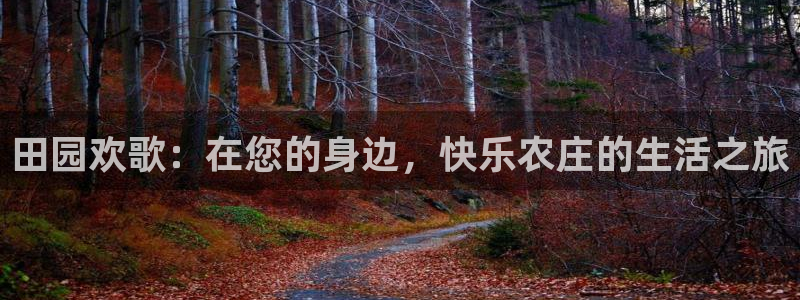 摩根娱乐创始人