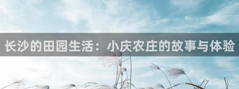 摩根娱乐50186加