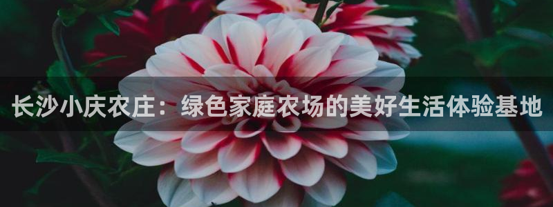 摩根娱乐注册m总管