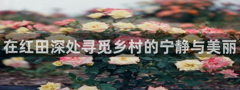 泉州摩根会娱乐保安招聘