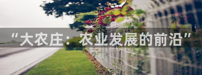 摩根娱乐宝APP下载