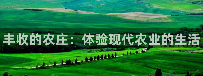 摩根娱乐50186找