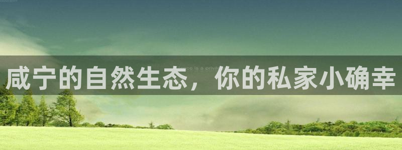 摩根娱乐宝总部