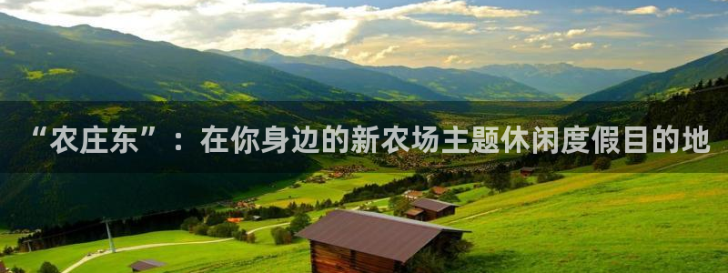 摩根娱乐创始人