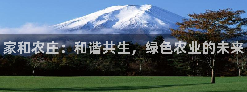 摩根兄弟进军娱乐圈