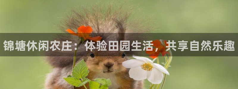 摩根娱乐宝账户